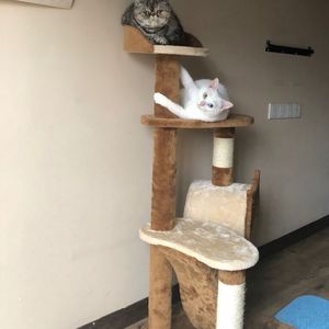 打扑克扒开腿㊙️让人桶爽
